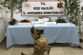 Rize'de Jandarma Suça Geçit Vermiyor