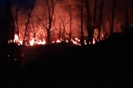 Ardeşen'de Orman Yangını - 30 Dönüm Zarar Gördü