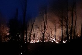 Ardeşen'de Orman Yangını - 30 Dönüm Zarar Gördü