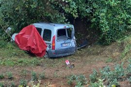 Ardesen'de Trafik Kazası: 1 Ölü