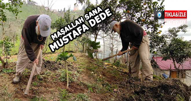 96 Yaşındaki Mustafa Dede'nin Sağlıklı Yaşam Sırrı