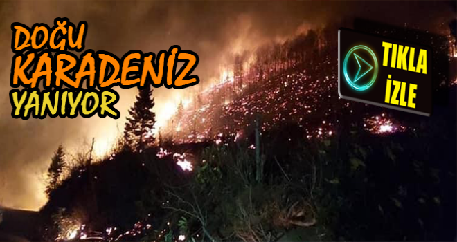 Trabzon ve Giresun’da Orman Yangınları