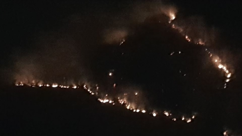 Artvin'de 4 Hektarlık Orman Alanı Yandı