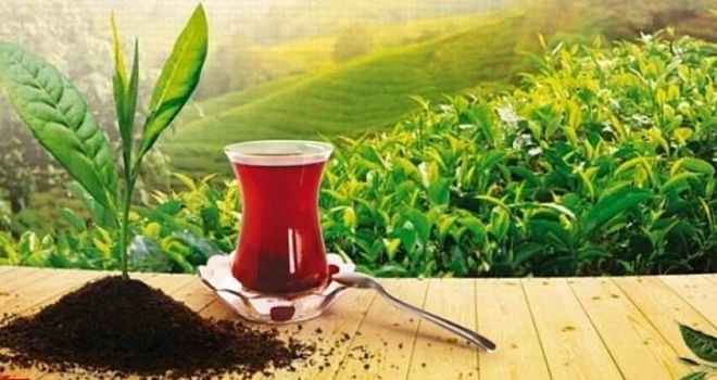 Türk Çayı İhracatı 2 Ayda 3,2 Milyon Doları Aştı